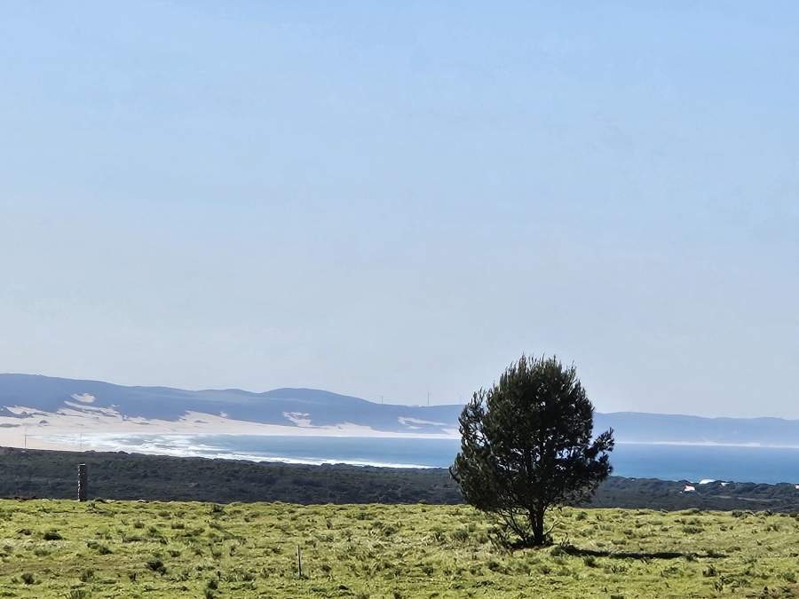 0 Bedroom Property for Sale in Twin Valley Eastern Cape